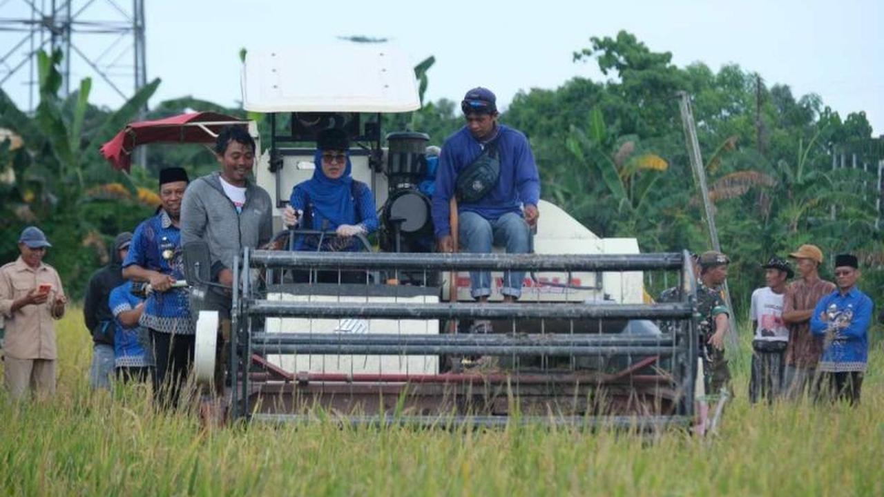 Gowa Target Jadi Lumbung Pangan Mandiri Sulawesi Selatan, Sektor Pertanian Sumbang Pertumbuhan Ekonomi Signifikan
