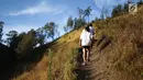 Peserta melintasi tanjakan saat try out di Ranu Kumbolo, Taman Nasional Bromo Tengger Semeru, Malang, Minggu (14/10). Sebanyak 40 pelari siap berlaga di SMI Trail Run, 11 November 2018. (Liputan6.com/HO/Eko)