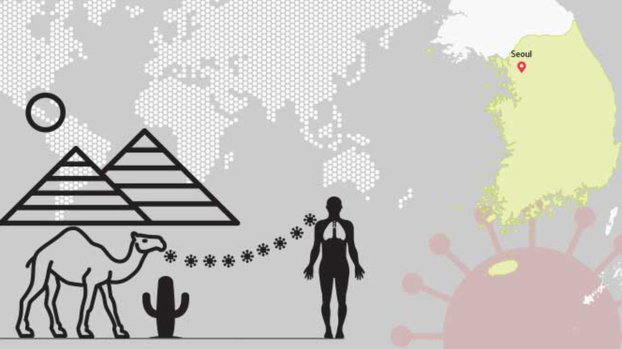 MERS Telah Mencapai Korea