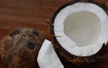 Panduan Menyimpan Sisa Kelapa Parut agar Segar Lebih Lama, Tidak Mudah Basi