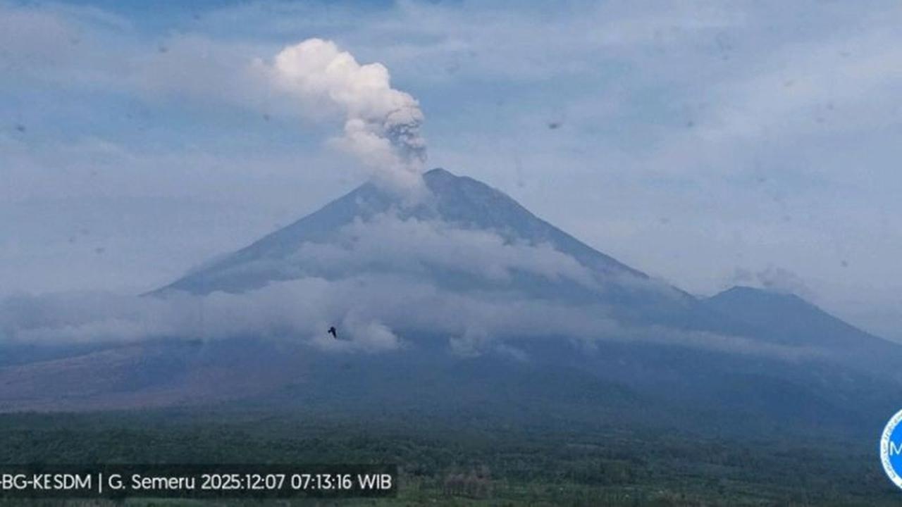 Gunung Semeru Erupsi Empat Kali dalam Sehari, Kolom Letusan Capai 1 Kilometer