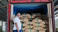 Holding BUMN Pangan atau ID Food kembali mengekspor biji kopi dari Indonesia ke pasar internasional, salah satunya Mesir. Tercatat, sudah ada 198 ton kopi yang dikirim ke Negeri Piramida tersebut. (Dok. ID Food)