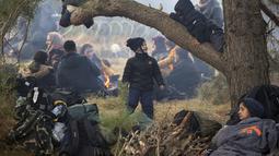 Anak-anak migran bermain di pohon saat berkumpul di perbatasan Belarus-Polandia dekat Grodno, Belarus, Senin (8/11/2021). Selama berbulan-bulan di mana rezim otokratis Belarus telah mendorong para migran untuk secara ilegal memasuki Uni Eropa. (Leonid Shcheglov/BelTA via AP)