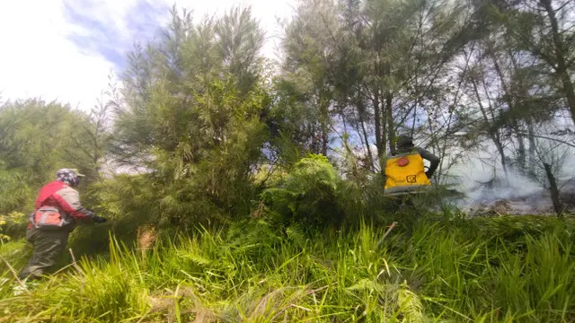 Hutan di Kawasan Taman Nasional Bromo Tengger Semeru Terbakar