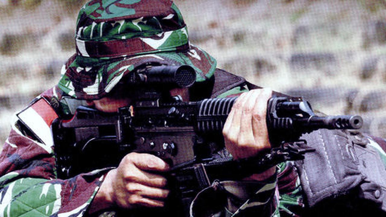 Haruskah TNI serbu OPM penyandera 2 WNI di Papua Nugini?