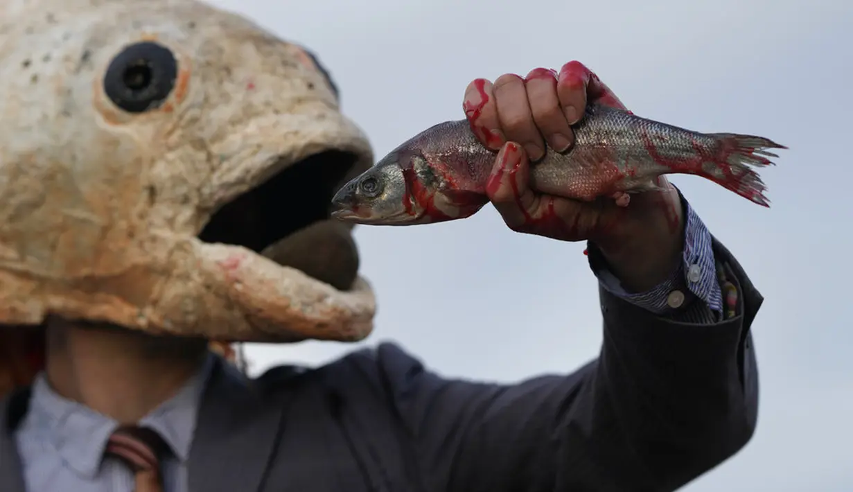 Seorang juru kampanye dari kelompok lingkungan Ocean Rebellion mengenakan topeng kepala ikan saat aksi protes terhadap Marine Stewardship Council (MSC) di Glasgow, Skotlandia, 4 November 2021. Aksi ini dilakukan di sela-sela KTT Iklim PBB COP26 yang sedang berlangsung. (AP Photo/Alastair Grant)