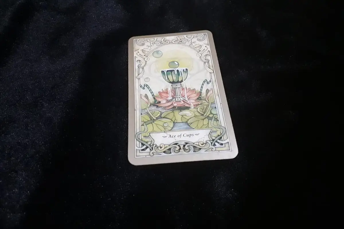 Tarot Hari Ini