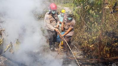 Rincian Gaji Polisi Hutan di Indonesia per Bulan