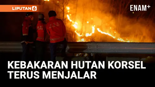  Kebakaran Hutan Terus Terjadi di Korea Selatan, 2 Situs UNESCO Terancam