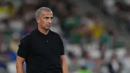 Pelatih asal Prancis itu sejatinya sudah berada dalam tekanan sebelum turnamen ini berlangsung. Tepatnya ketika Tunisia menelan kekalahan telak 0-5 dari Belgia dalam laga uji coba Piala Dunia di Brussels. (AP Photo/Moises Castillo)