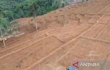 Tahukah Anda? Kementan Percepat Cetak Sawah Baru di Bengkulu, Target 2.200 Hektare!