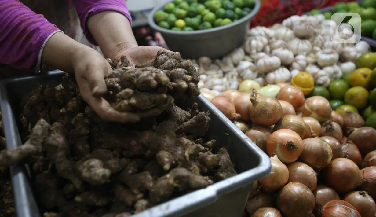 Pedagang menata jahe merah yang dijual di Pasar Rumput, Jakarta, Kamis (5/3/2020). Akibat merebaknya wabah virus corona, harga jahe merah melonjak di pasar itu dan dijual dengan harga Rp 95.000/kg. (Liputan6.com/Angga Yuniar)