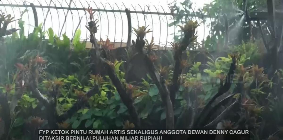 8 Potret Paludarium Raksasa di Rumah Denny Cagur yang Megah, Pemandangan Indah - Ditaksir Berharga Fantastis