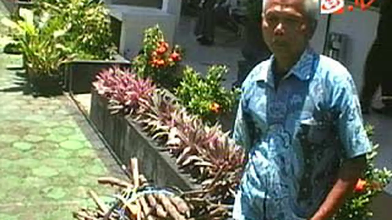 120119acuri-kayu.jpg