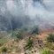 223 Orang dan 9 Korporasi Jadi Tersangka Kebakaran Hutan