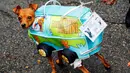 Seekor anjing mengenakan kostum berbentuk mobil van Scooby Doo ikut ambil bagian dalam parade Halloween Dog di Tompkins Square Park Manhattan, New York, AS, Sabtu (22/10). Parade Halloween khusus anjing ini digelar setiap tahun. (REUTERS/Eduardo Munoz)