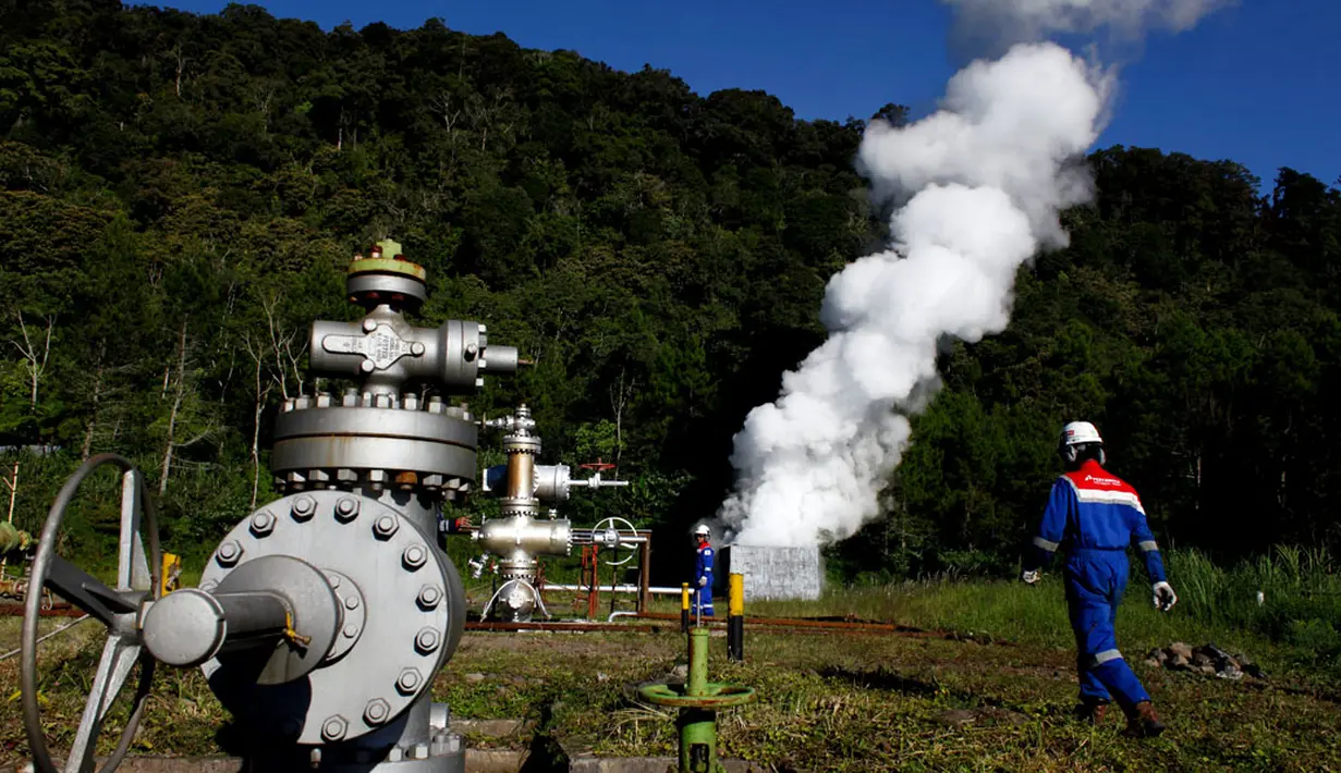 PLTP Karaha dijadwalkan bisa mensuplai listrik ke Perusahaan Listrik Negara (PLN) pada akhir 2016 mendatang, (19/4/2014). (REUTERS/Beawiharta)