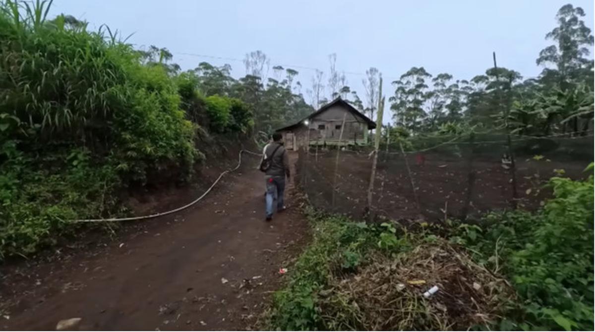 kampung kawin kontrak