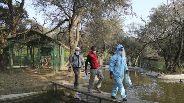 (AP Photo/Channi Anand)