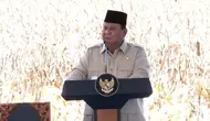 Presiden Prabowo Subianto dalam Panen Raya Jagung Serentak Kuartal II, Kamis (5/6/2025). (Arief/Liputan6.com)