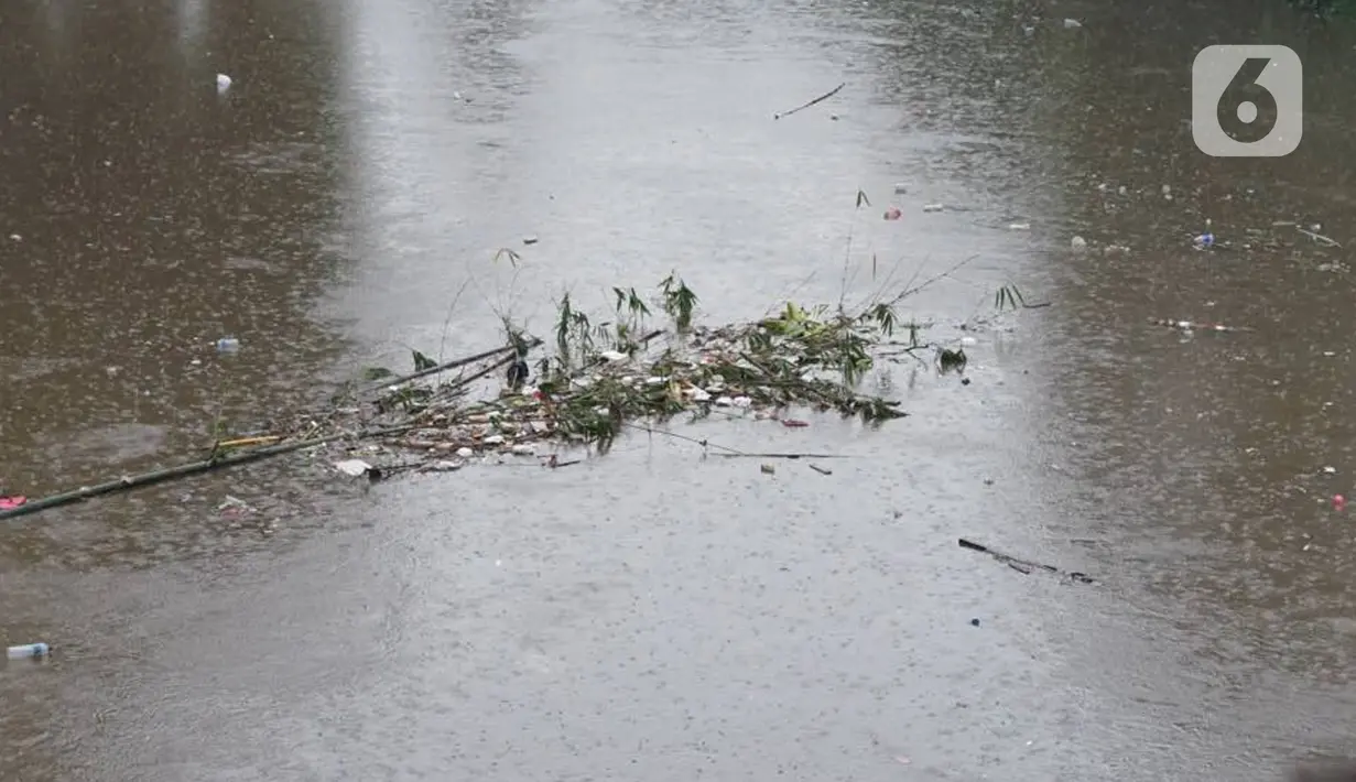 Kondisi aliran Sungai Ciliwung di kawasan Rawajati, Jakarta, Selasa (17/12/2019). Hujan deras yang mengguyur Jakarta sejak siang menyebabkan debit air Sungai Ciliwung mulai mengalami kenaikan, namun masih terpantau normal. (Liputan6.com/Immanuel Antonius)