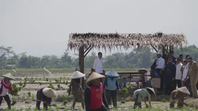 Jokowi.