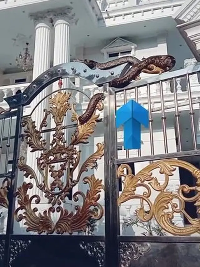 Disangka Patung, Rumah Mewah Ini Dijaga Ular Besar di Gerbangnya