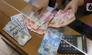 Petugas menghitung uang rupiah di penukaran uang di Jakarta, Senin (9/11/2020). Nilai tukar rupiah terhadap dolar AS bergerak menguat pada perdagangan di awal pekan ini Salah satu sentimen pendorong penguatan rupiah kali ini adalah kemenangan Joe Biden atas Donald Trump. (Liputan6.com/Angga Yuniar)