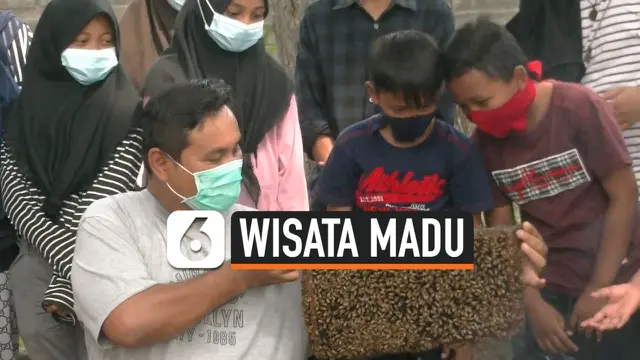 VIDEO: Wisata Edukasi Gratis di Kampung Lebah