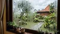 4 Penyebab Jendela Kaca Mudah Berembun dan Cara Mengatasinya: Kenali Sebelum Jamur Muncul
