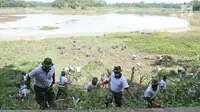 Personel TNI AL memotong rumput di sungai Citarum di Desa Warung Pulus, Bandung Barat, Jawa Barat, Minggu (17/12). Memperingati HUT TNI AL ke 72, melaksanakan operasi bakti TNI AL dengan menggelar acara "Bebersih Citarum". (Liputan6.com/Herman Zakharia)