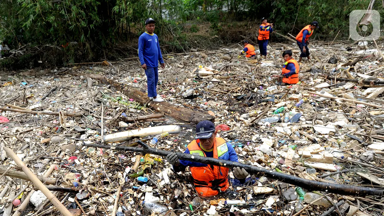 Perjuangan Petugas Bersihkan Sampah Sungai Cikeas di Bekasi