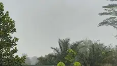 Kabut Asap Kebakaran Hutan Masih Hantui Desa Limbung Kalbar