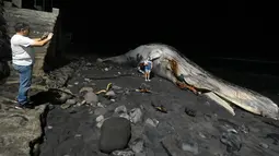 Seorang anak berpose dengan bangkai paus bungkuk yang muncul di pantai Las Flores di La Libertad, El Salvador, Jumat (5/11/2021). Ini adalah kedua kalinya tahun ini seekor paus bungkuk ditemukan mati di sebuah pantai di El Salvador. (Sthanly ESTRADA / AFP)