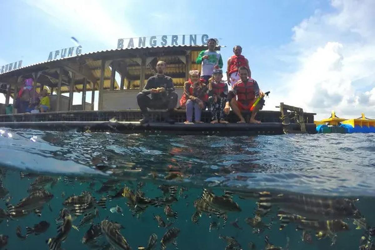 6 Wisata Banyuwangi yang Wajib Dikunjungi, Bikin Liburan Jadi Berkesan