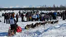 Penonton menyaksikan musher Jessie Holmes meninggalkan garis start Iditarod Sled Dog Race di Deshka Landing di Willow, Alaska, Minggu (7/3/2021). Sled Dog Trail merupakan lomba balap kereta luncur yang ditarik oleh anjing yang digelar tiap tahun. (Marc Lester/Anchorage Daily News via AP)