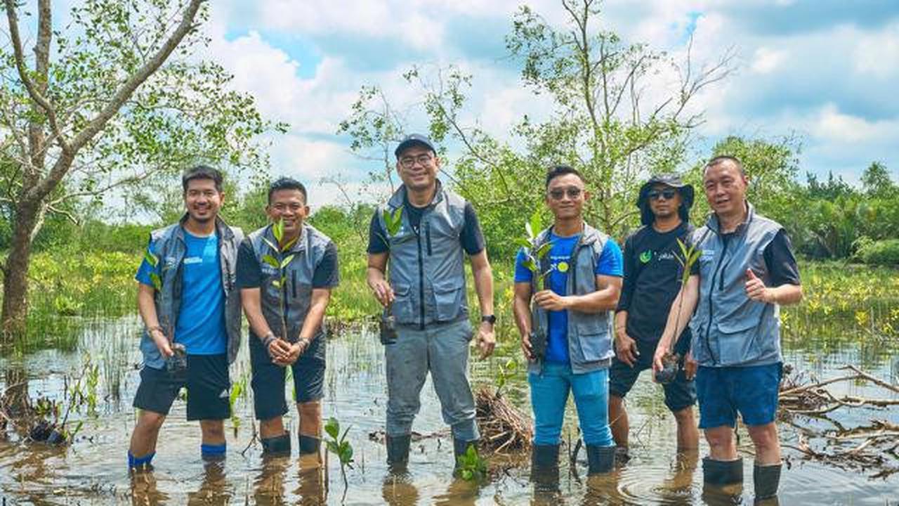 Hari Menanam Pohon Indonesia, Sebanyak 10.500 Mangrove Bakal Ditanam Bertahap di Wilayah Pesisir