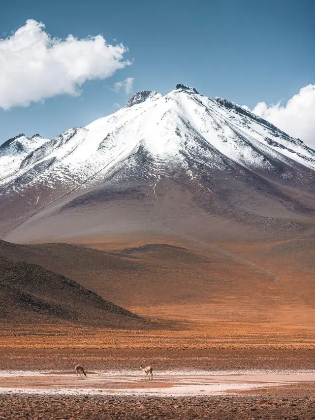 Gurun Atacama di Chili