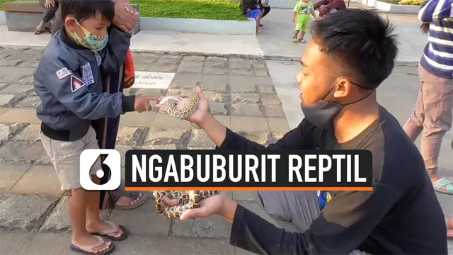 reptil ngabuburit thumbnail