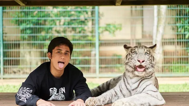 Alshad Ahmad, yang akrab dengan hewan peliharaannya harimau putih yang diberi nama Selen. Alshad dengan santainya berpose dengan Selen. (Foto: Instagram/@alshadahmad)