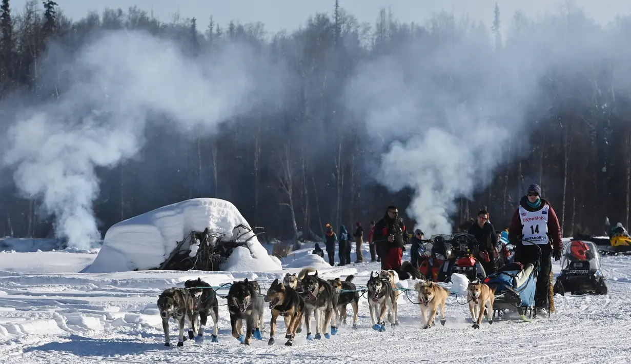 Ryne Olson memandu tim anjingnya melewati api unggun di Sungai Susitna saat dimulainya Iditarod Trail Sled Dog Race di Alaska Selatan, Minggu (7/3/2021). Sled Dog Trail merupakan lomba balap kereta luncur yang ditarik oleh anjing yang digelar tiap tahun. (Bill Roth/Anchorage Daily News via AP)