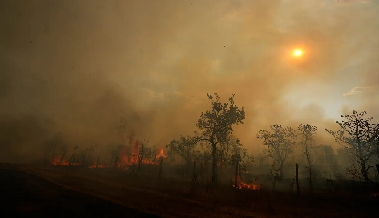 Brasil menghadapi kekeringan terburuk dalam sejarah pengukuran nasional, dengan 59% wilayah negara ini mengalami kekeringan yang meluas. (AP Photo/Eraldo Peres)