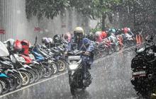 Tahukah Anda? Mikroplastik Air Hujan Jakarta Ancam Kesehatan, Pemprov DKI Tegaskan Komitmen Lingkungan