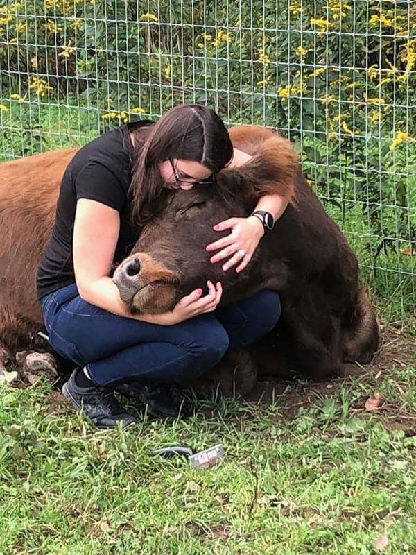 Terapi memeluk sapi (Sumber: Instagram/mountainhorsefarm)