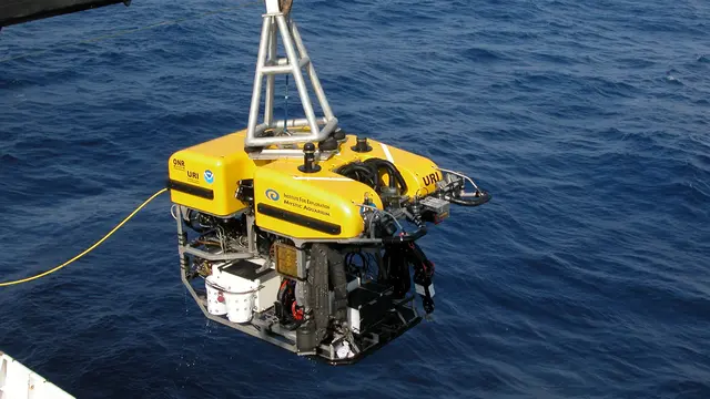 ROV