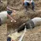 Tapir Terjebak di Parit Kebun Sawit Mesuji, Keluar dari Habitat Konservasi