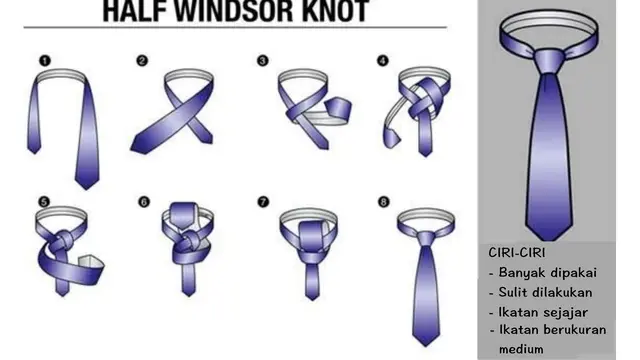 Half Windsor Tie Knot - errine