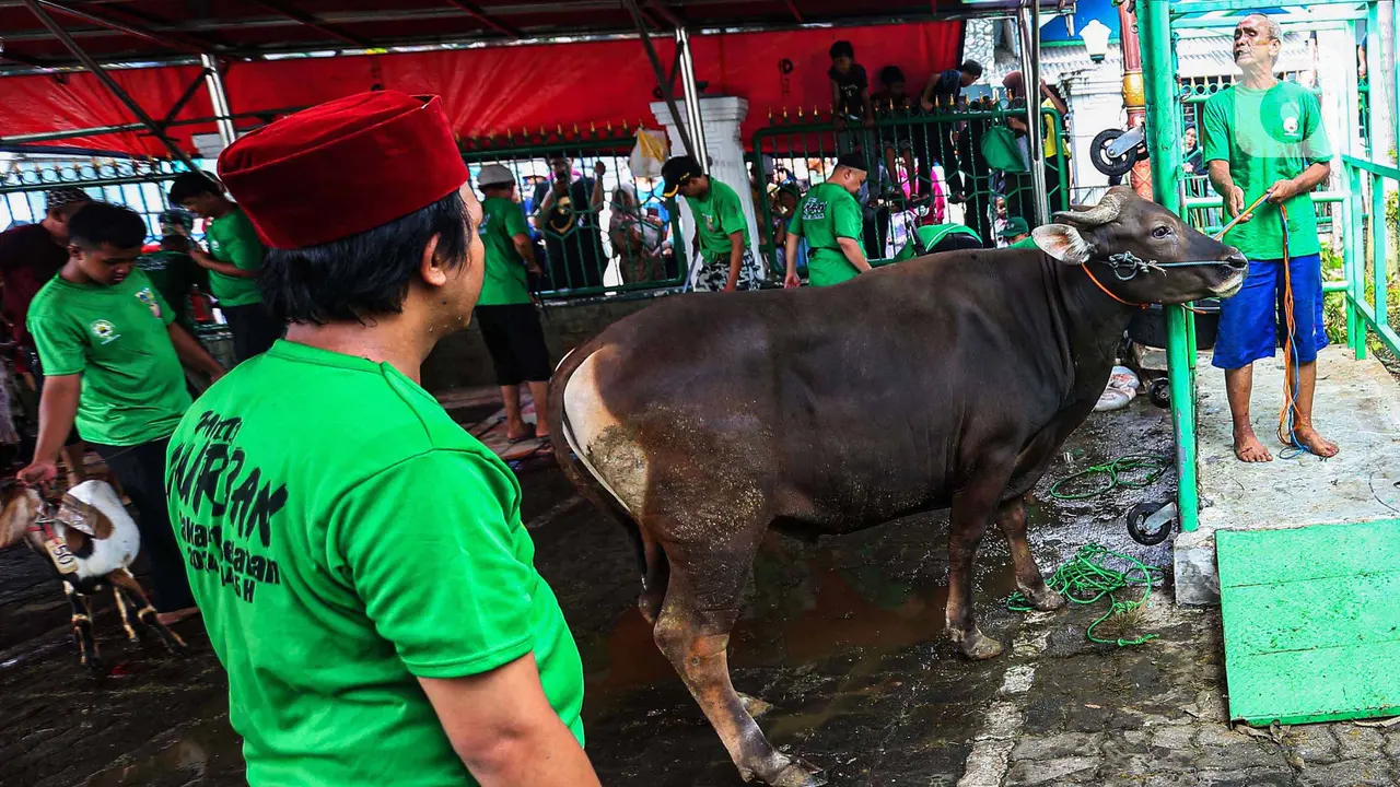 Dinas Lingkungan Hidup atau DLH Jakarta mengajak masyarakat untuk bisa menerapkan kurban ramah lingkungan atau 'eco qurban'.