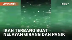 Seorang nelayan menangkap momen indah saat melaut. Ia dan rekan-rekannya begitu girang melihat ribuan ikan terbang melompat dari permukaan. Momen tersebut juga buat panik lantaran ikan terbang melompat ke kapal dan membentur tubuh para kru kapal.