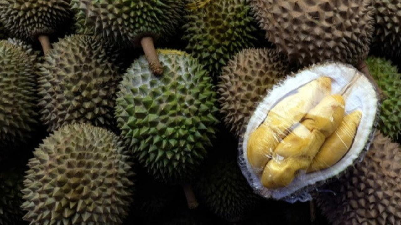 Mitos atau Fakta, Apakah Durian Menyebabkan Darah Tinggi? Ini Penjelasan Lengkapnya